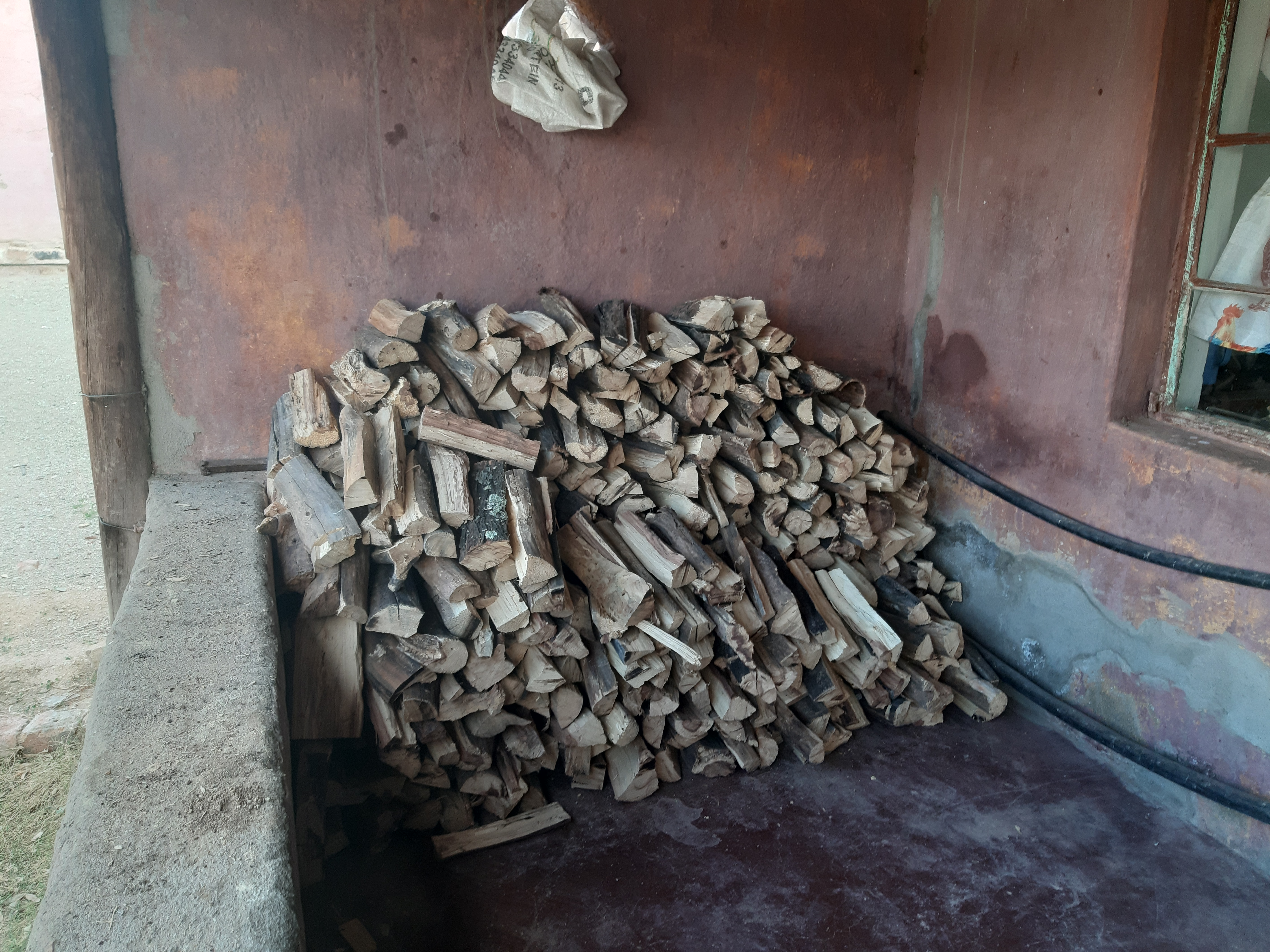 Firewood